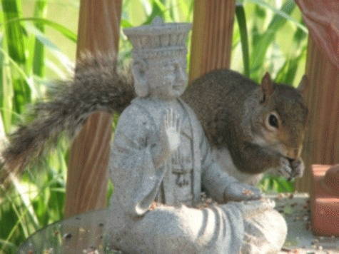 Sloth (USA-2) : Pull Out the Thorn of Desire